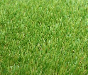 iCON artificial grass close up